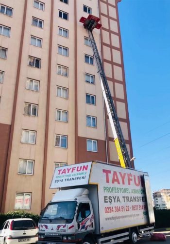 site-tasima-2